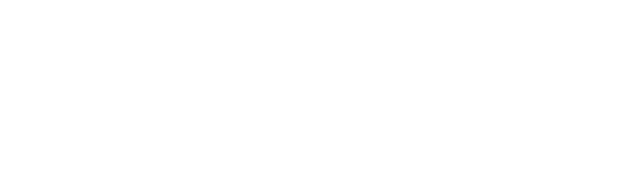 TimeChip